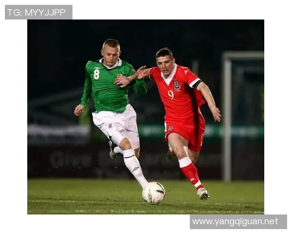 威尔士与爱尔兰精彩对决直播信息及赛前分析一览